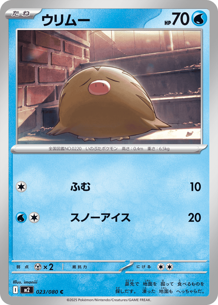 M2 Inferno X: Swinub 023/080