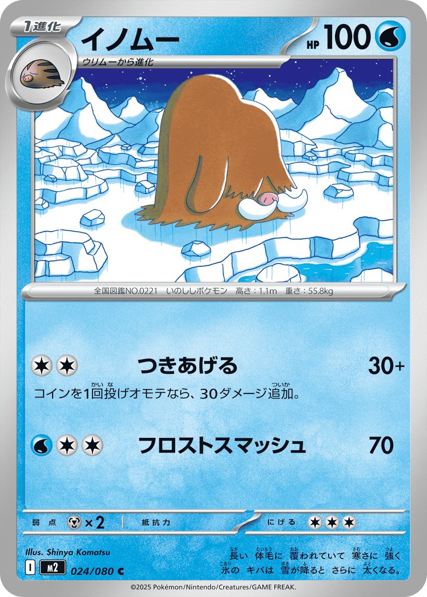 M2 Inferno X: Piloswine 024/080